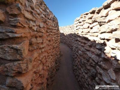 Motilla del Azuer-Corral de Almagro;hayedo de tejera negra peña ubiña la boca del asno navacerrada